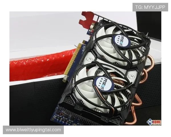 骰宝游戏规则全攻略：从基础到高级玩法，助你成为游戏高手