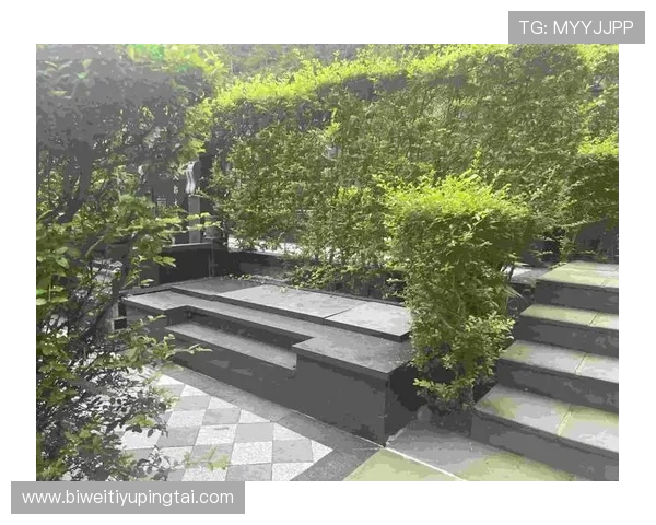 乐动体育账号注册与登录流程详解：确保账户安全的完整操作指南