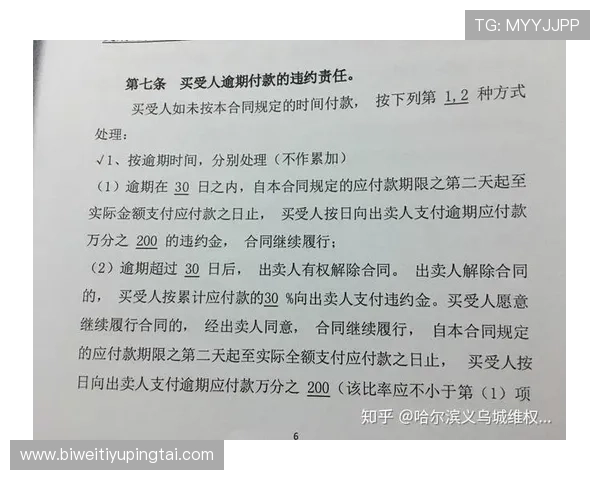 体育担保网的法律法规支持与合规运营的重要性分析
