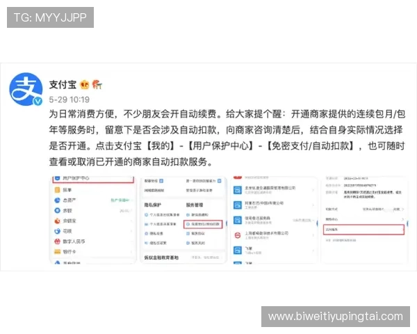 伟德网站支付方式多样化保障资金快速到账的便捷途径